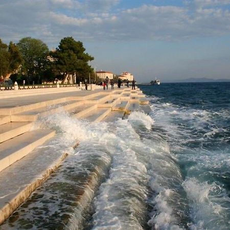 Apartment Olives Zadar Cameră foto